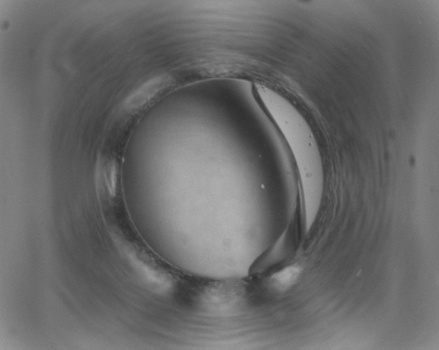 X0000063520076200601201444