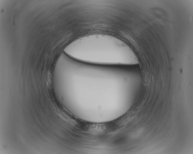 X0000063520077200601201444