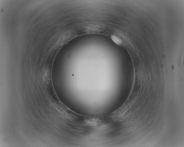 X0000063520079200601201444