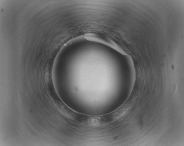 X0000063520080200601201444