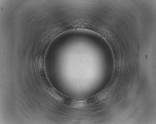 X0000063520081200601201444