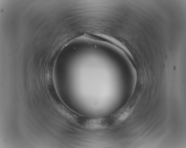 X0000063520084200601201444