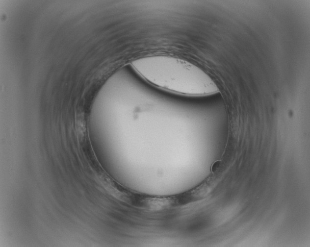 X0000063520085200601201444