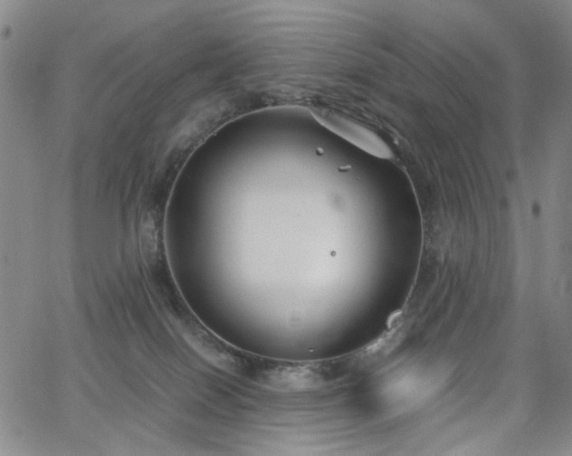 X0000063520086200601201444