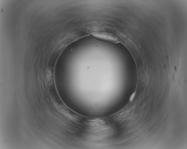 X0000063520087200601201444