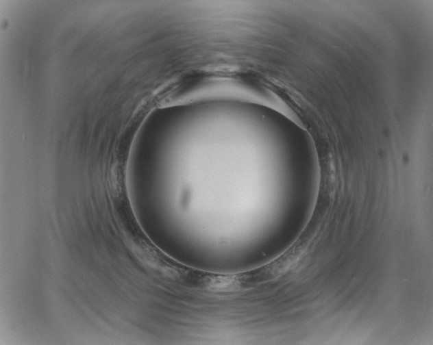 X0000063520088200601201444