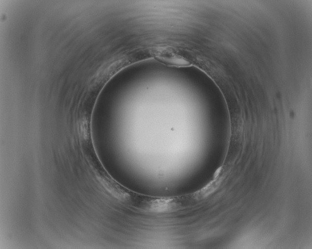 X0000063520090200601201444