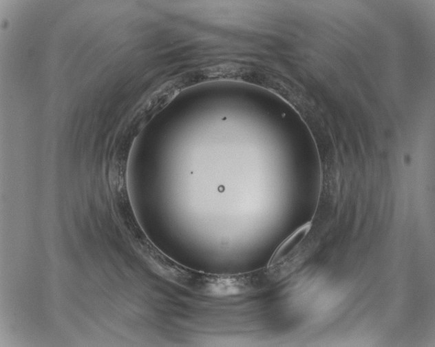 X0000063520091200601201444