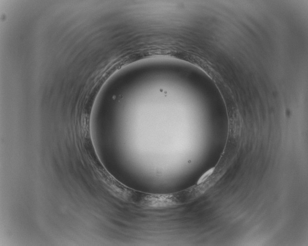 X0000063520093200601201444