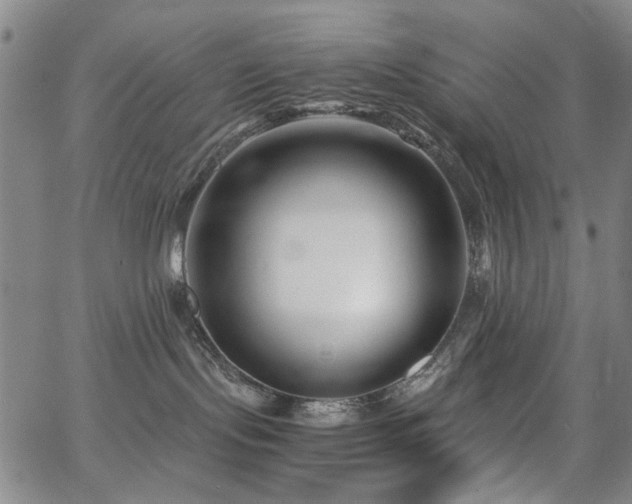 X0000063520095200601201444