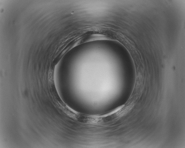 X0000063520096200601201444