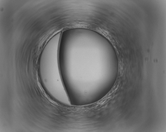 X0000063520097200601201443