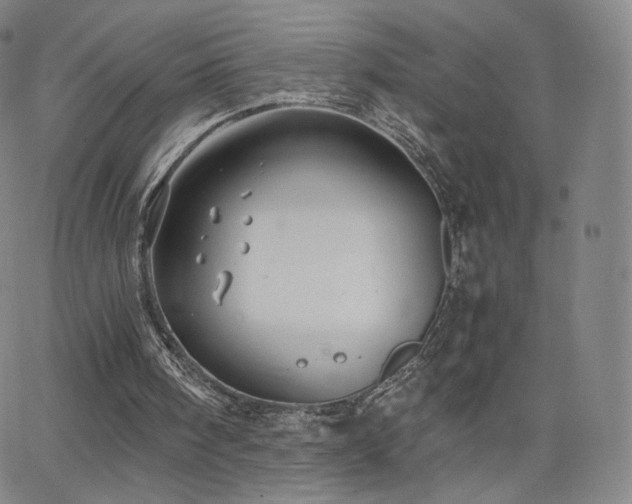 X0000063520098200601201443