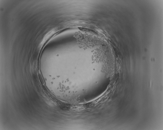 X0000063520099200601201443