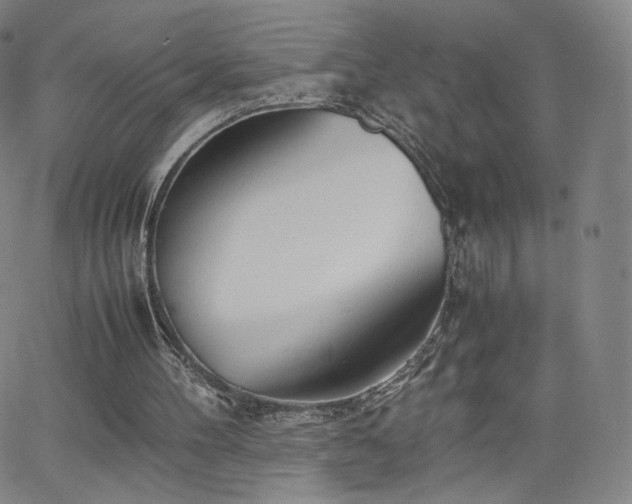 X0000063520100200601201443