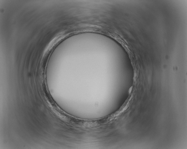 X0000063520101200601201443