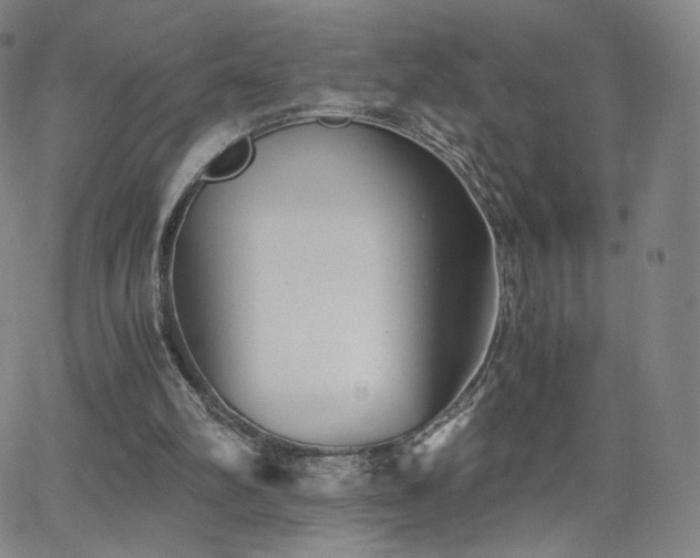 X0000063520102200601201443