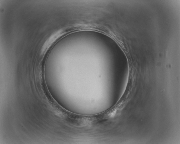 X0000063520103200601201443