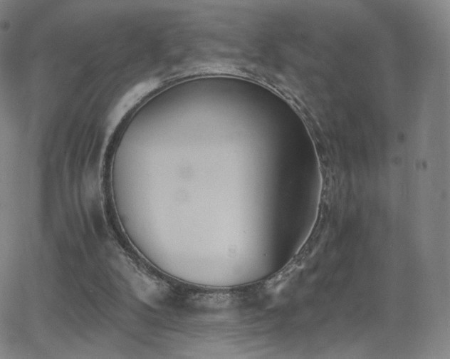 X0000063520104200601201443