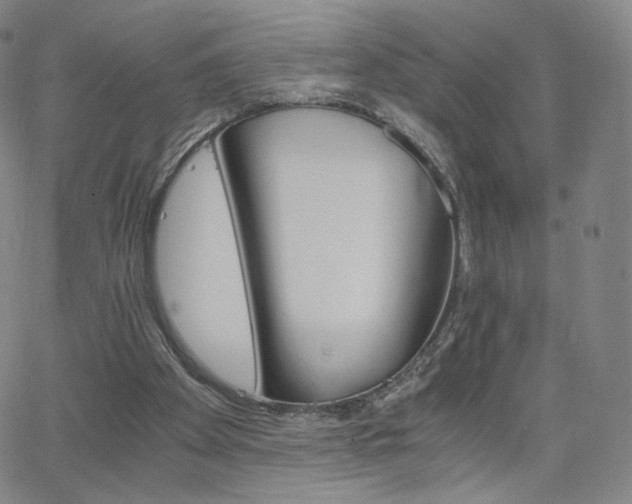 X0000063520105200601201443