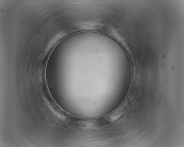 X0000063520106200601201443