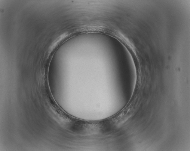 X0000063520107200601201443