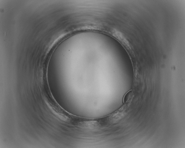 X0000063520108200601201443