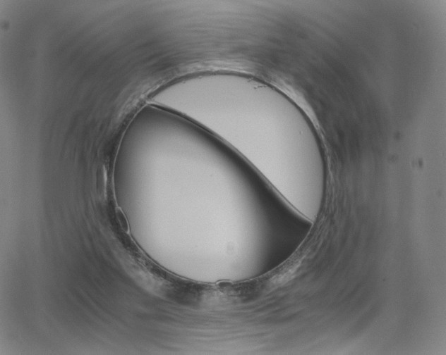 X0000063520109200601201443