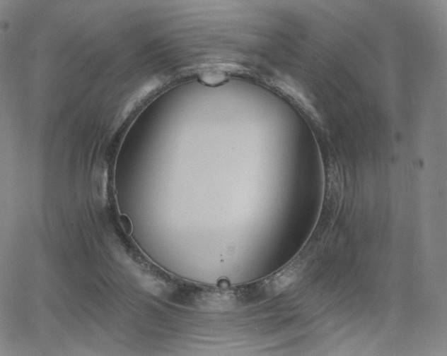 X0000063520110200601201443