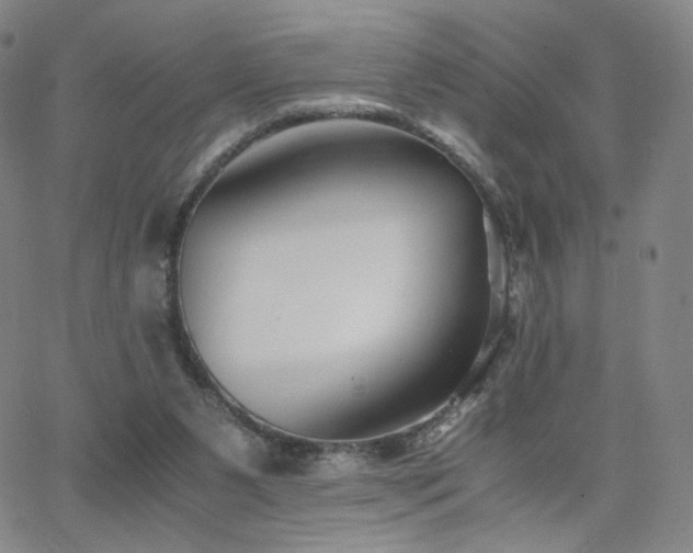 X0000063520111200601201443