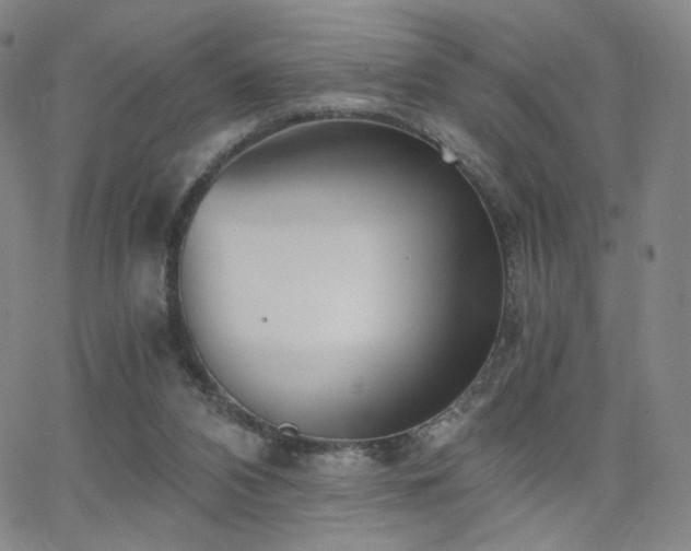 X0000063520112200601201443