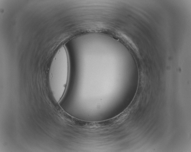 X0000063520113200601201443