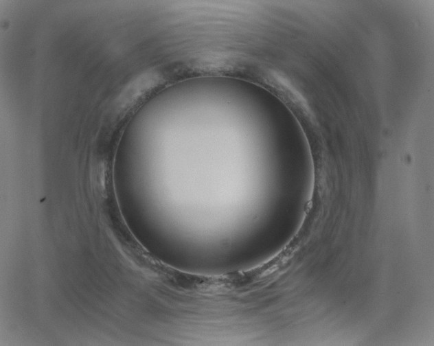 X0000063520115200601201443