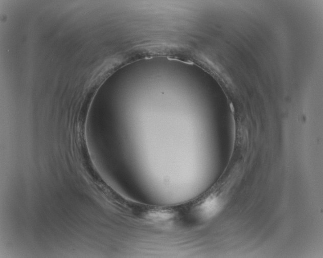 X0000063520117200601201443