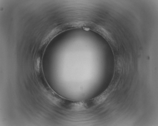 X0000063520118200601201443