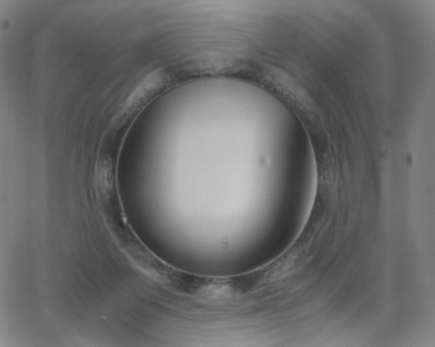 X0000063520119200601201443