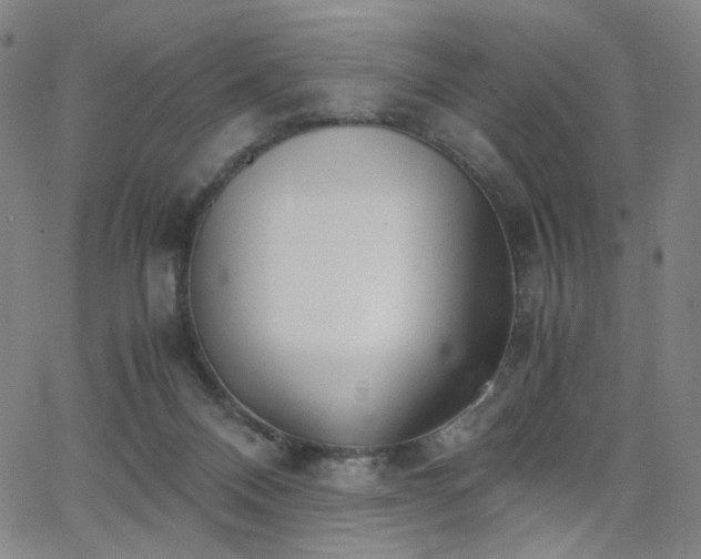 X0000063520120200601201443