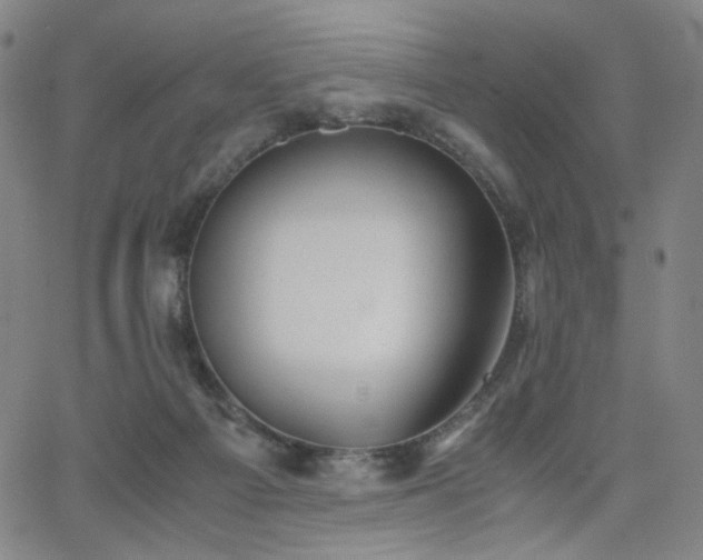 X0000063520121200601201443