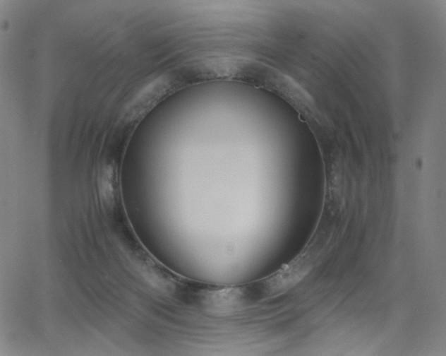 X0000063520122200601201443