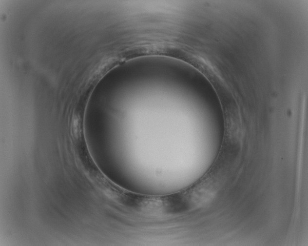 X0000063520123200601201443