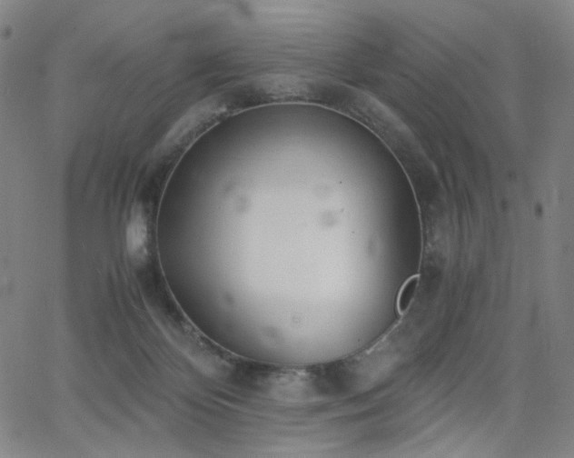 X0000063520124200601201443