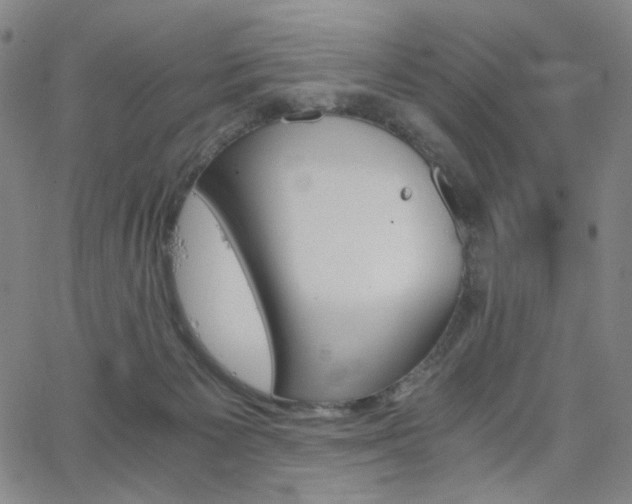 X0000063520125200601201443