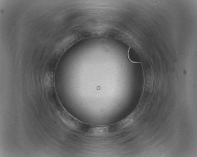 X0000063520126200601201443