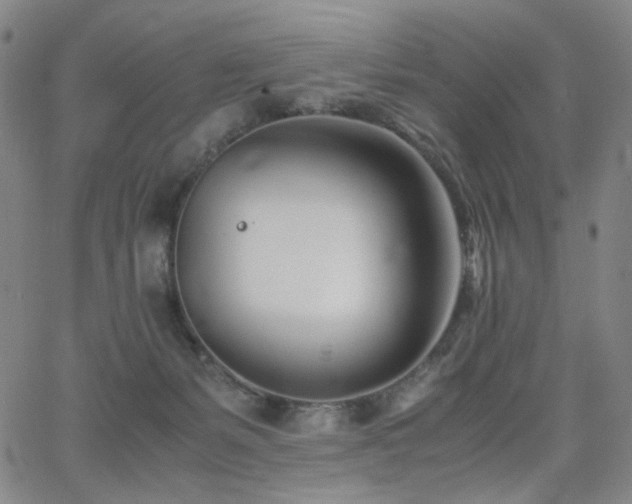 X0000063520127200601201443