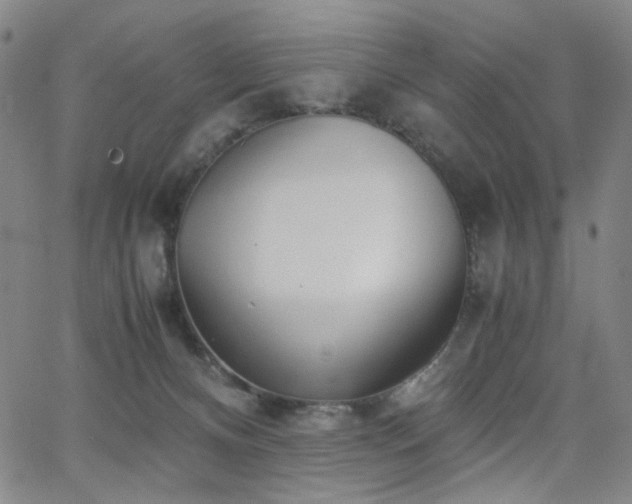 X0000063520128200601201443