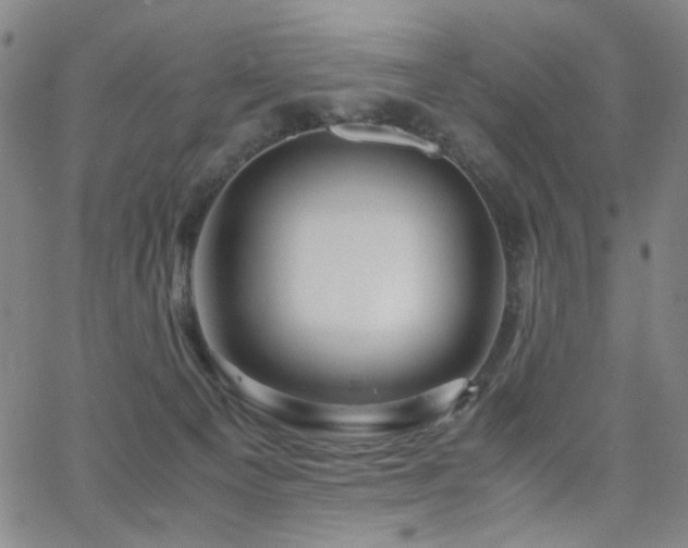 X0000063520129200601201443