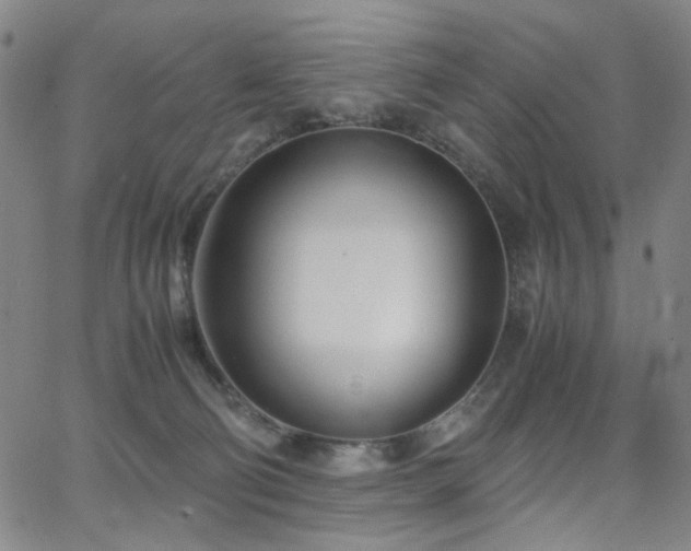 X0000063520130200601201443