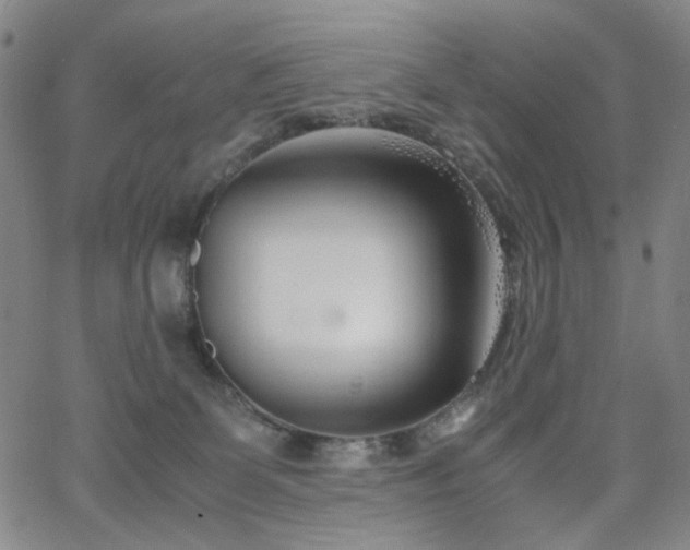 X0000063520131200601201443