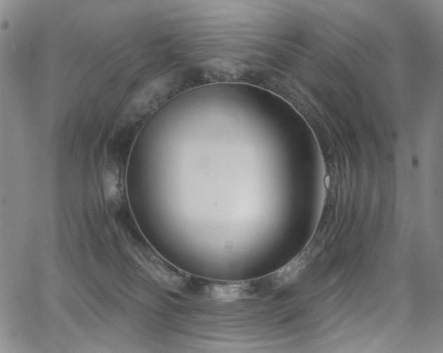 X0000063520134200601201442