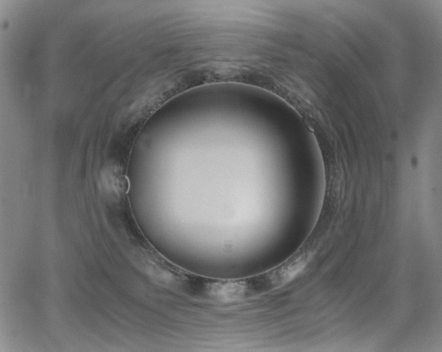 X0000063520135200601201442